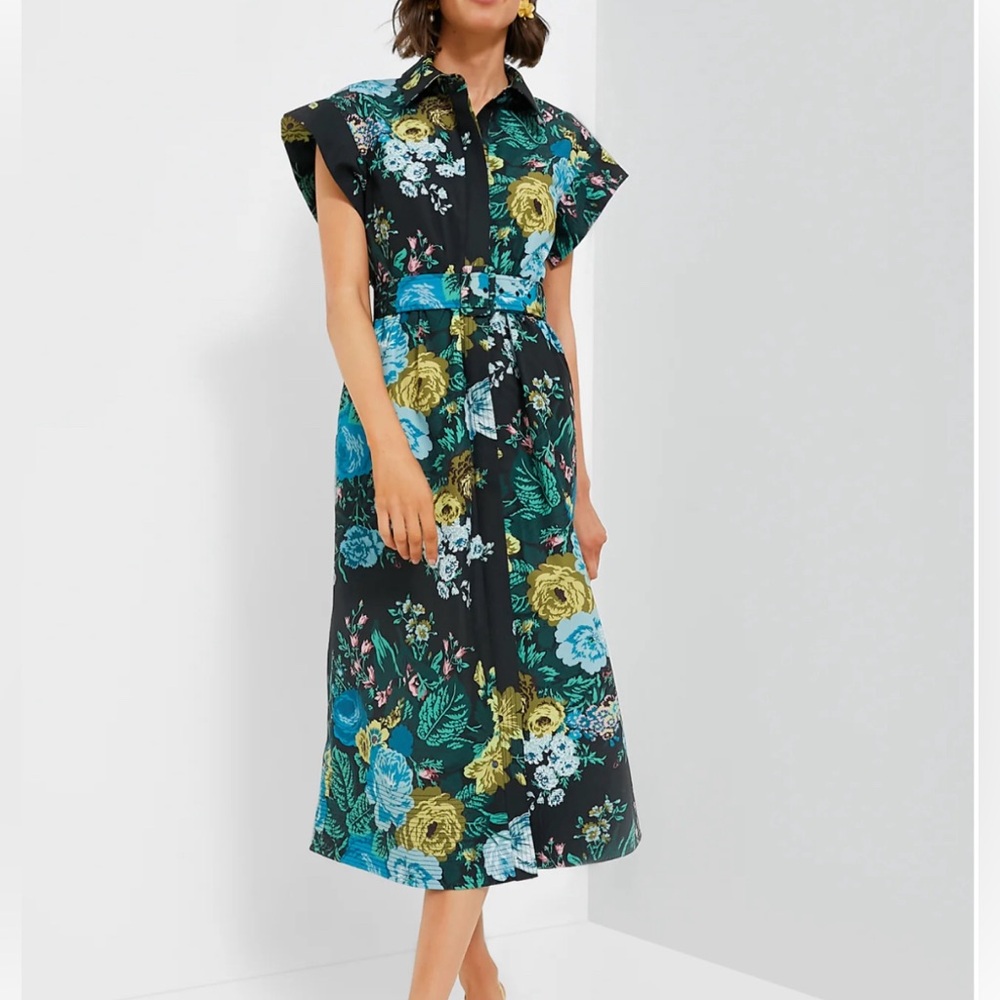 Tuckernuck Chloe Dress